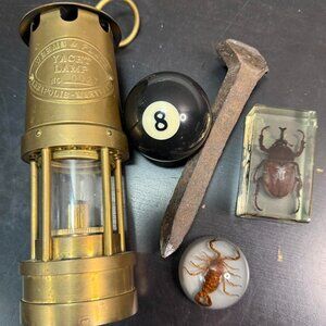 oddities & curiosities scorpion & Hercules beetle paper weights & lantern extras